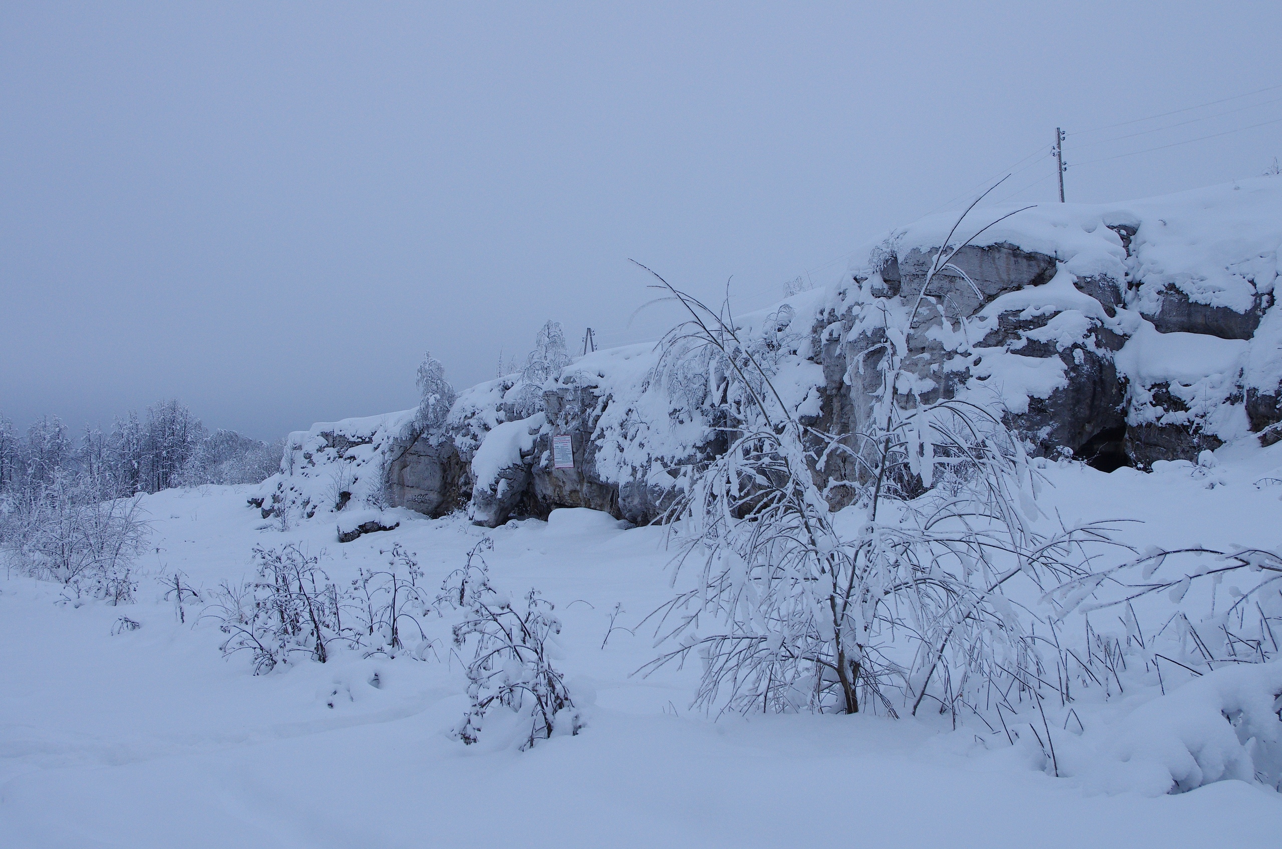 История Кизела