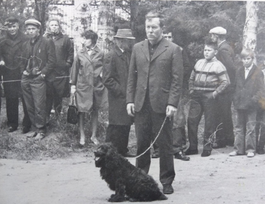 Начало 1970-х гг. Геннадий Гладких на выставке охотничьих собак со спаниелем Вилюем.  Ф 3