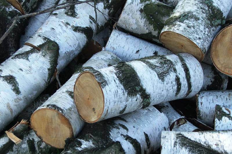 Купить Дрова Березовые В Серпухове Цена