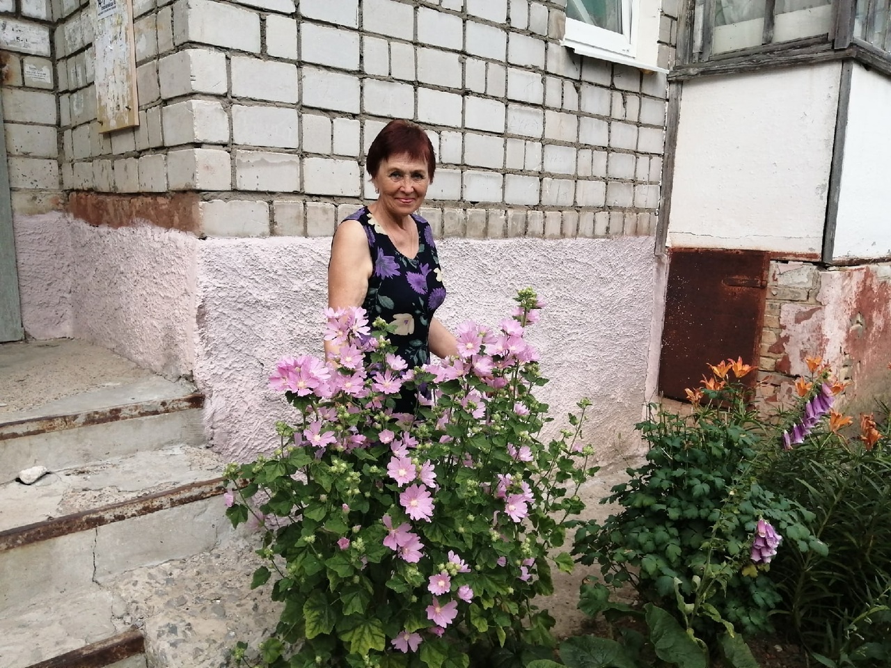 хозяйка цветущего дома 38. хозяйка цветущего дома 38. выращивать цветы. хозяйка цветущего дома 38. цветок растет для себя.